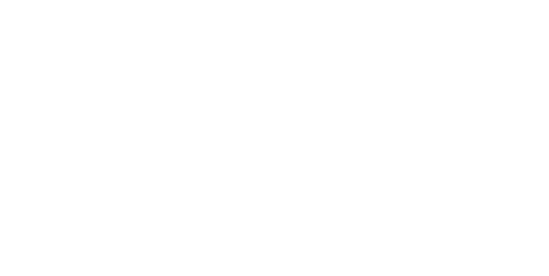 Dr. Mohammed Hafiz